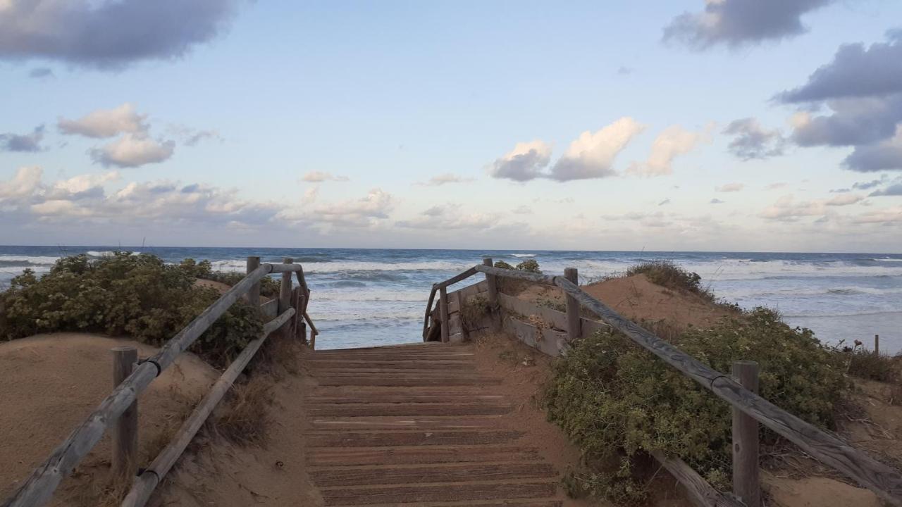 גאנדיה Les Moreres מראה חיצוני תמונה
